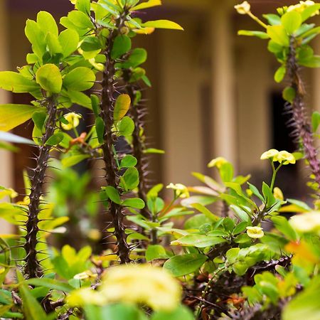Pondok Guru Bakti Cottage Senaru Exteriér fotografie