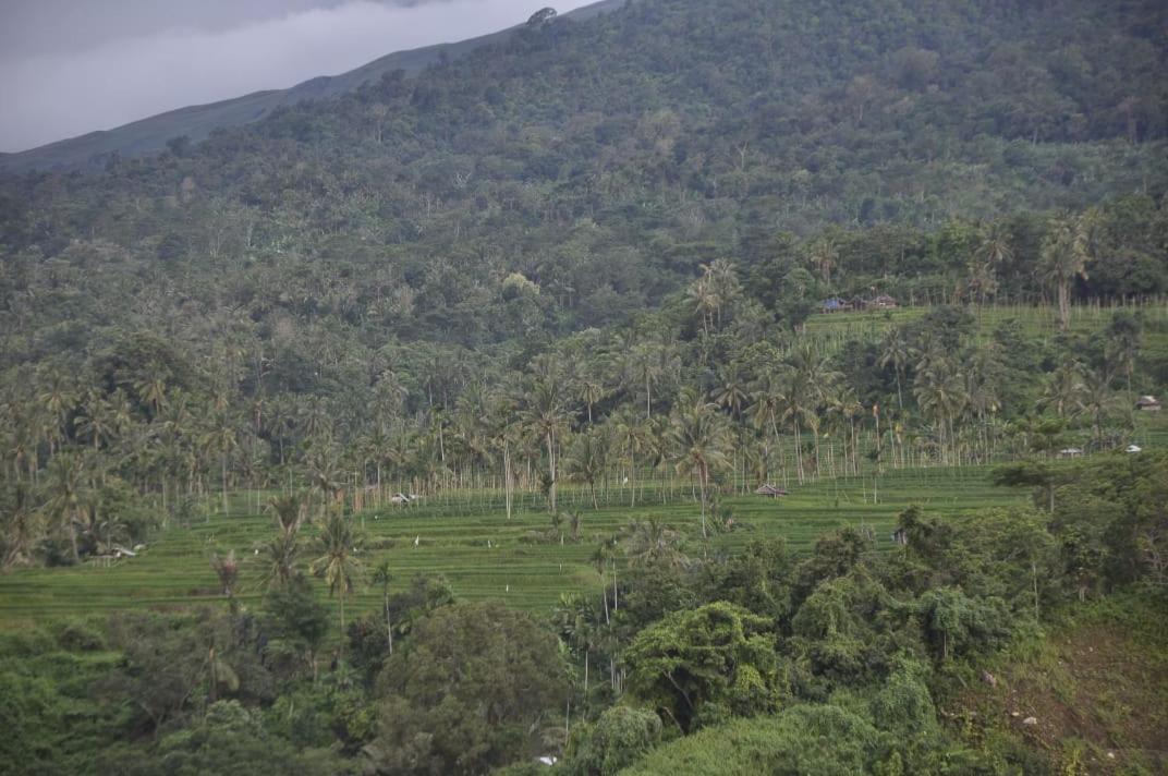 Pondok Guru Bakti Cottage Senaru Exteriér fotografie